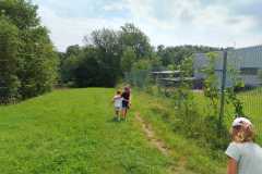 IMG-20241108-WA0006