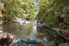 IMG-20241108-WA0038